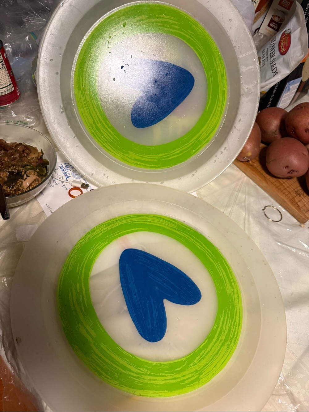 4 serving plate outdoor or indoor